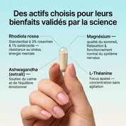 VitaLux™ - Rhodiola Complex – Stress ,Sommeil, Énergie & Focus.